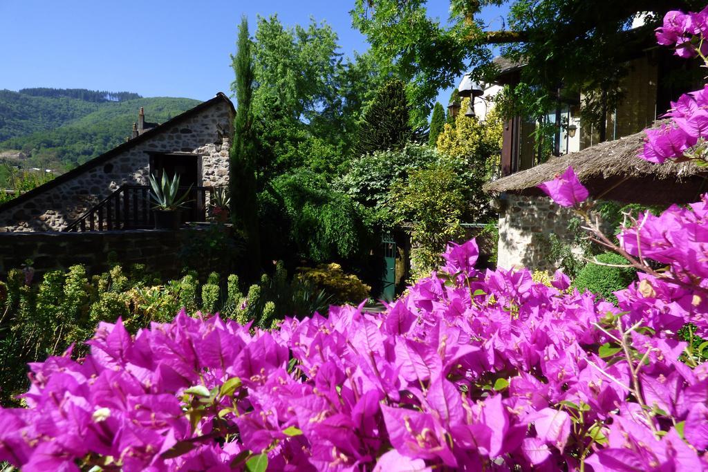 Hotel Du Lion D'Or Entraygues-sur-Truyère Esterno foto