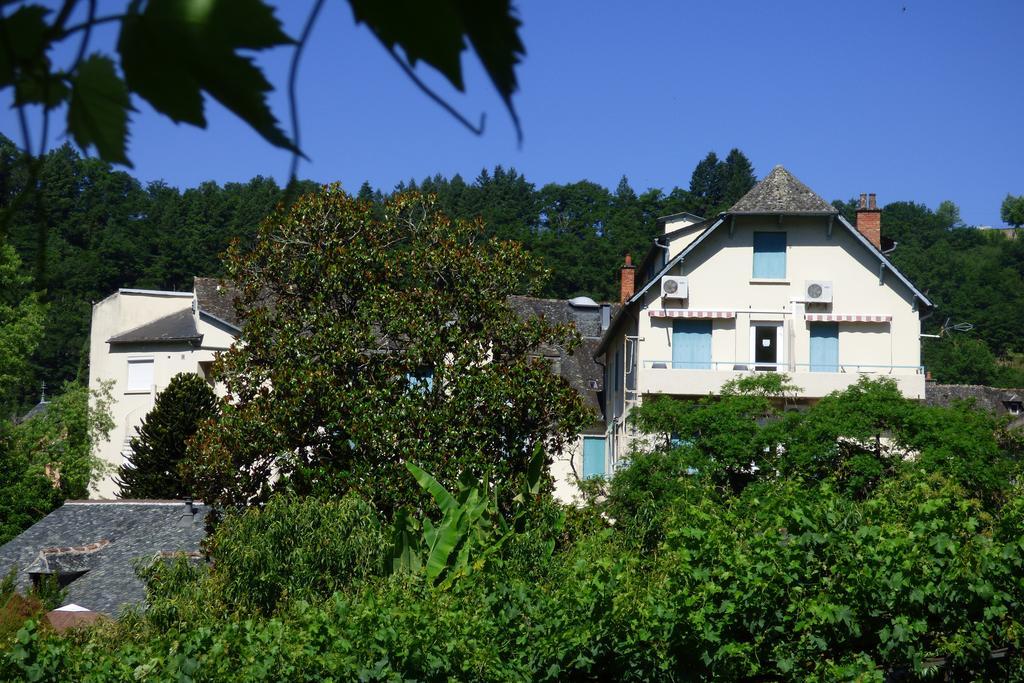 Hotel Du Lion D'Or Entraygues-sur-Truyère Esterno foto